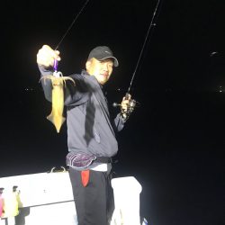 和丸(京都) 釣果