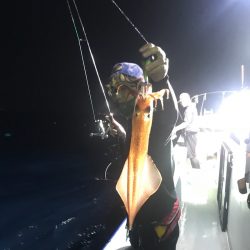 和丸(京都) 釣果