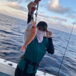 あみや渡船 JIGBOY 釣果