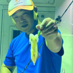 あみや渡船 JIGBOY 釣果