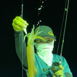 あみや渡船 JIGBOY 釣果