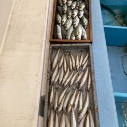 岡田釣船　八英丸 釣果