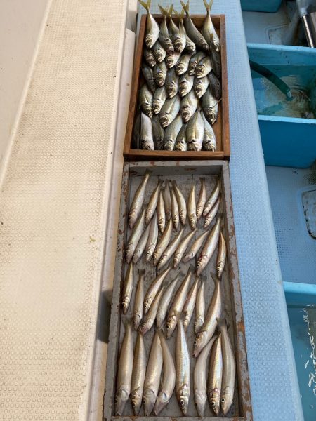 岡田釣船　八英丸 釣果