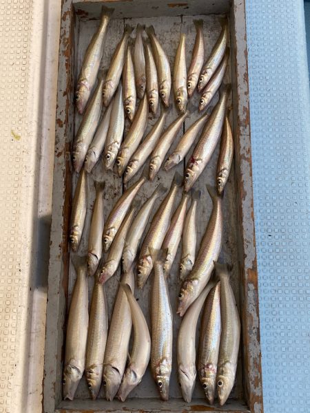 岡田釣船　八英丸 釣果