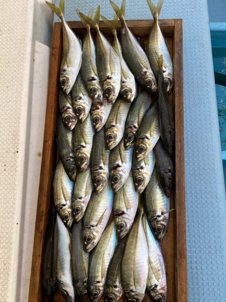 岡田釣船　八英丸 釣果