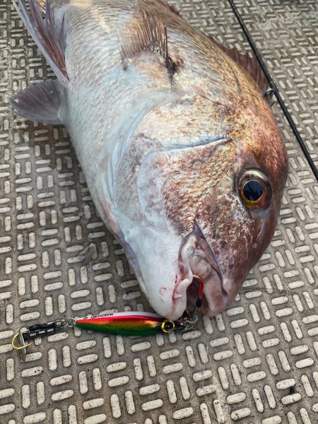 龍神丸（鹿児島） 釣果