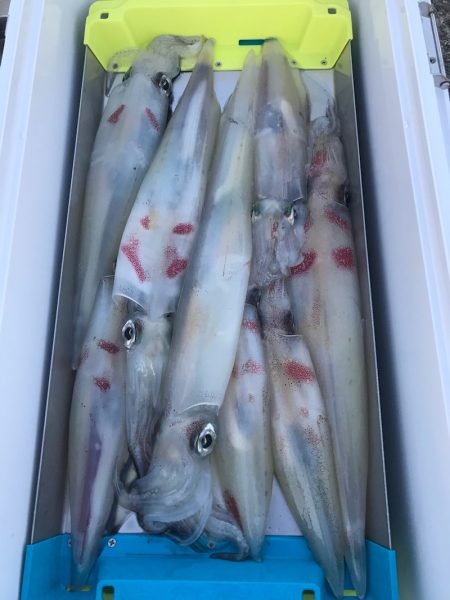 和丸(京都) 釣果