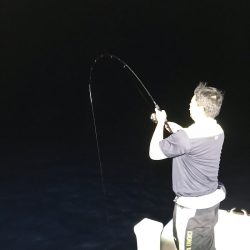 和丸(京都) 釣果