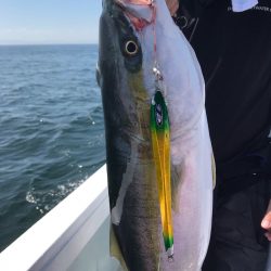 エムズジャーク(M’s JERK) 釣果