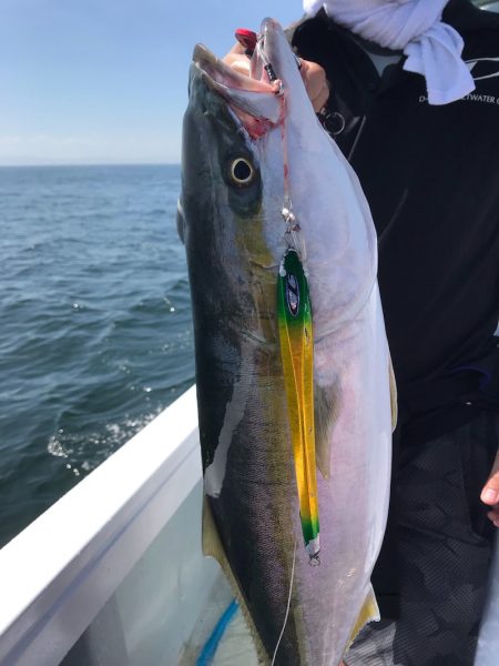 エムズジャーク(M’s JERK) 釣果