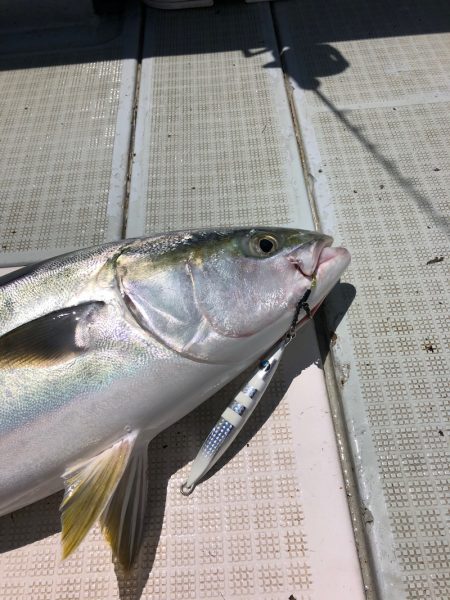 エムズジャーク(M’s JERK) 釣果