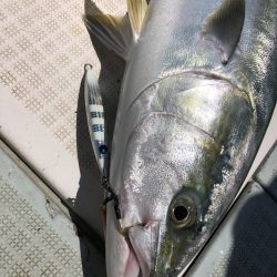 エムズジャーク(M’s JERK) 釣果