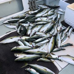 エムズジャーク(M’s JERK) 釣果