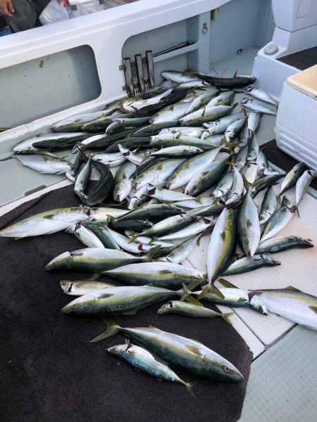 エムズジャーク(M’s JERK) 釣果