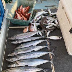 Monster Rush! 釣果