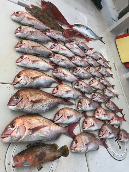 大雄丸 釣果