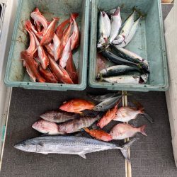 Monster Rush! 釣果