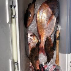 フィッシング　キッタカ 釣果