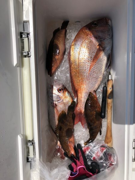 フィッシング　キッタカ 釣果