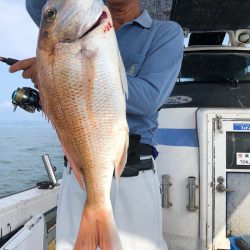 フィッシング キッタカ 釣果