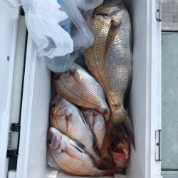 フィッシング キッタカ 釣果