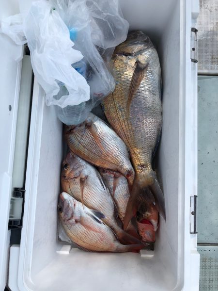 フィッシング キッタカ 釣果