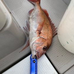 遊漁船ブルーウッズ 釣果