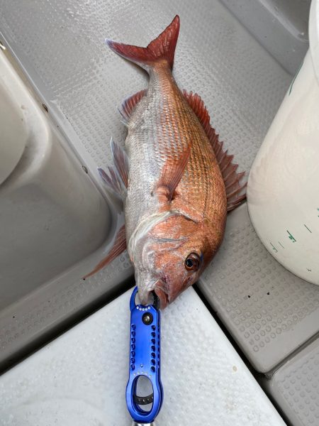 遊漁船ブルーウッズ 釣果