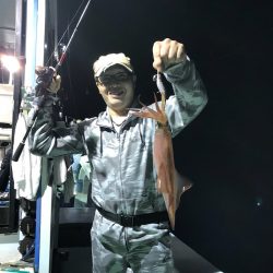 和丸（京都） 釣果