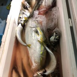 第二八坂丸 釣果