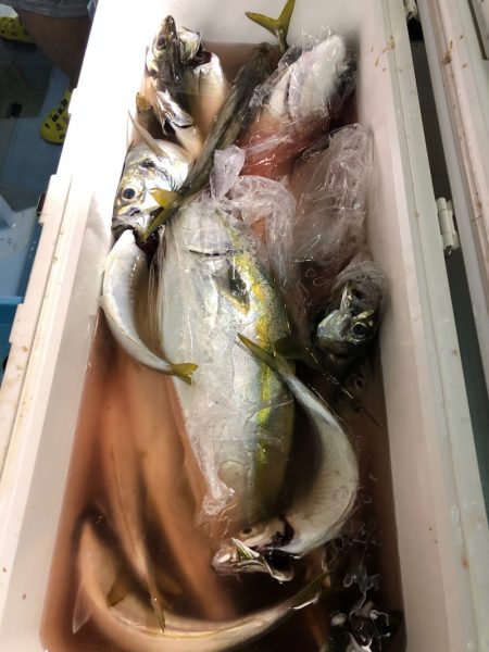 第二八坂丸 釣果