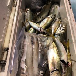 第二八坂丸 釣果