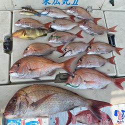 末広丸(熊本) 釣果