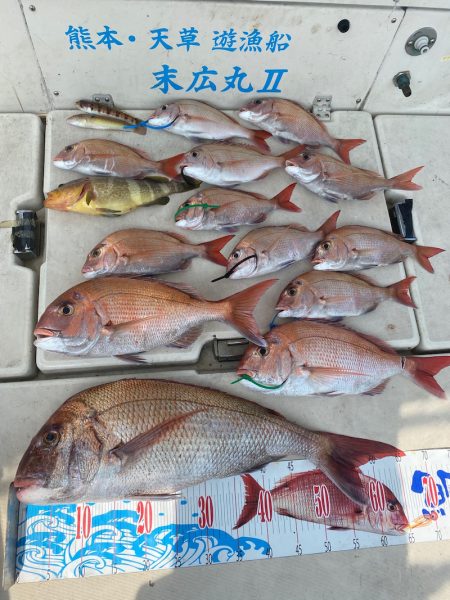 末広丸(熊本) 釣果