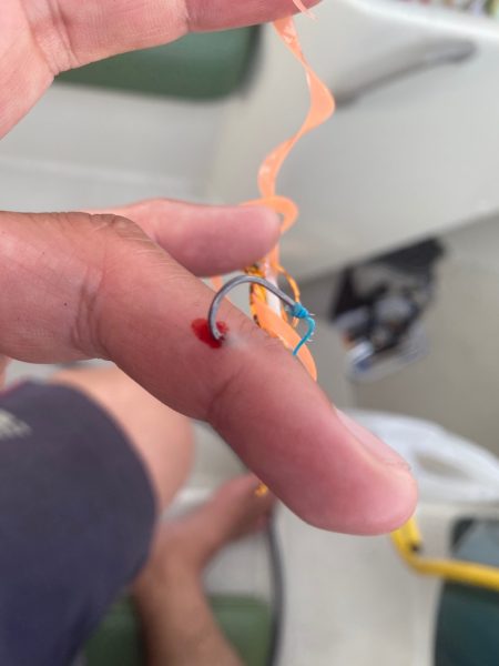 末広丸(熊本) 釣果