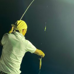 あみや渡船 JIGBOY 釣果