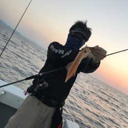 和丸(京都) 釣果