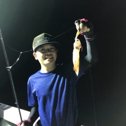 和丸(京都) 釣果