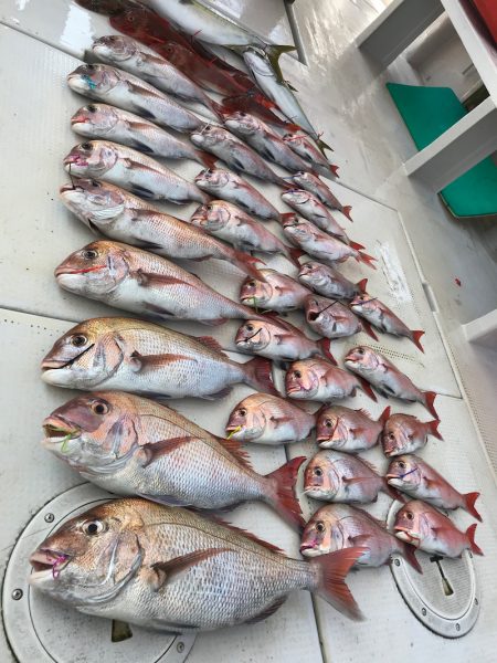 大雄丸 釣果