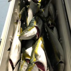 第二八坂丸 釣果