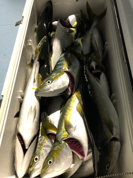 第二八坂丸 釣果