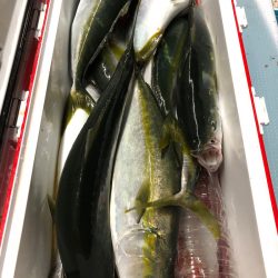 第二八坂丸 釣果