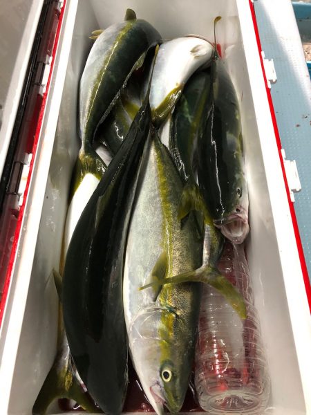 第二八坂丸 釣果