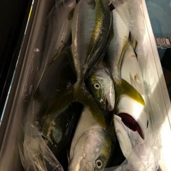 第二八坂丸 釣果