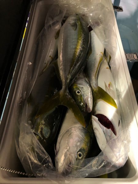 第二八坂丸 釣果