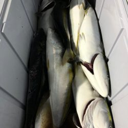 第二八坂丸 釣果