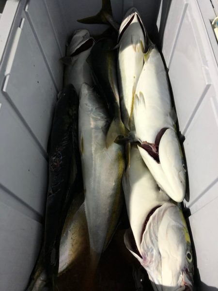 第二八坂丸 釣果