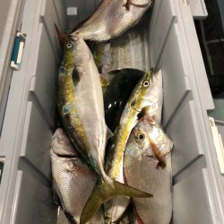 第二八坂丸 釣果