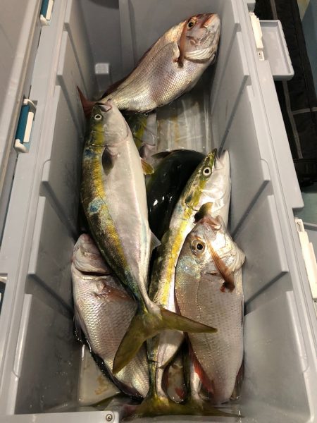 第二八坂丸 釣果