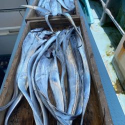 岡田釣船 八英丸 釣果